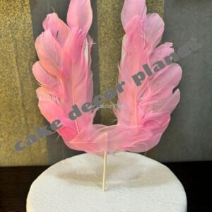 wing-feather-pink