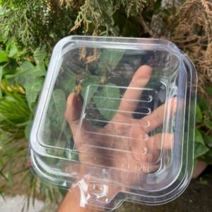 transparent-bento-box