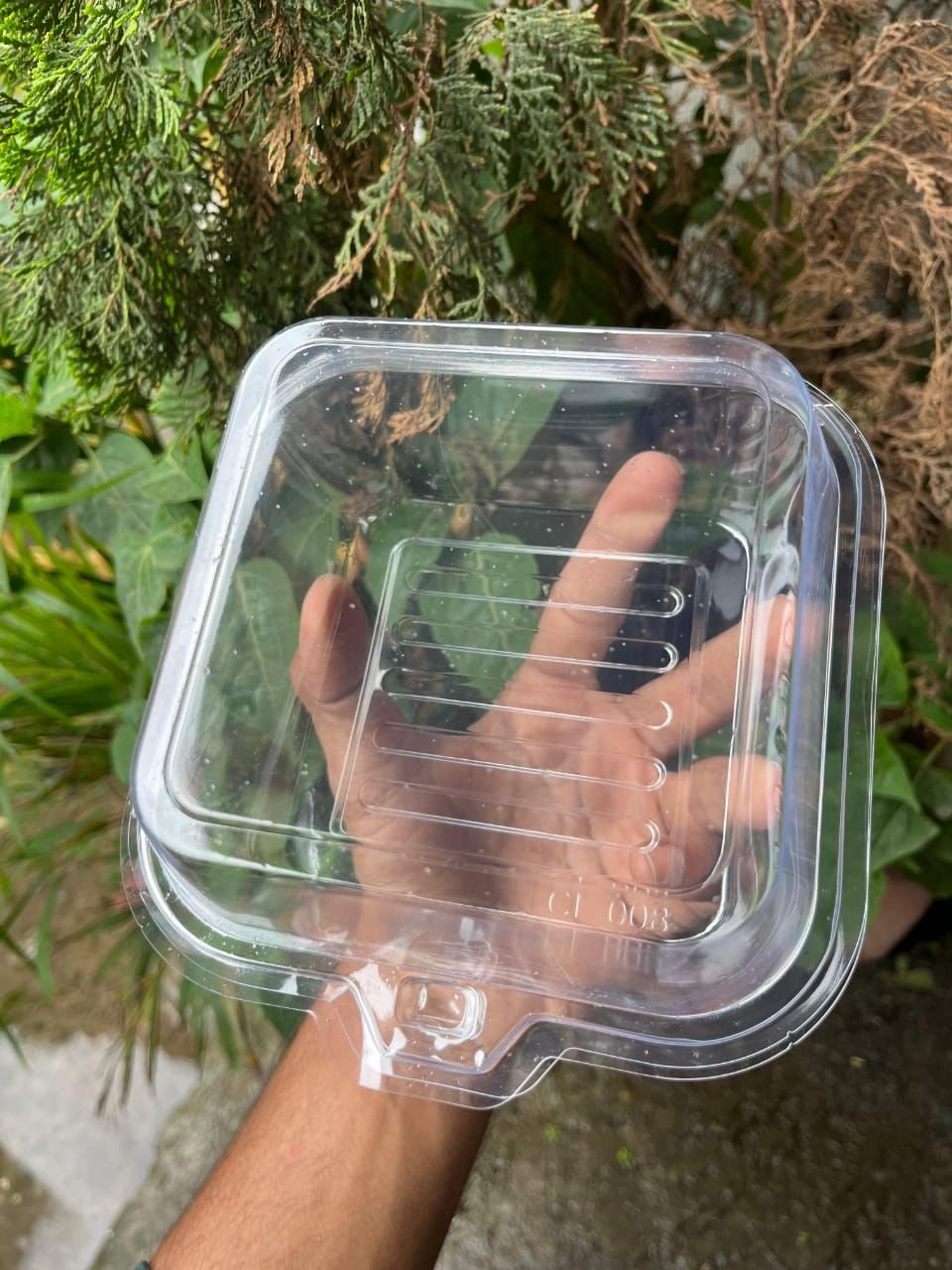 TRANSPARENT BENTO BOX
