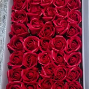 Imported Scented Rose